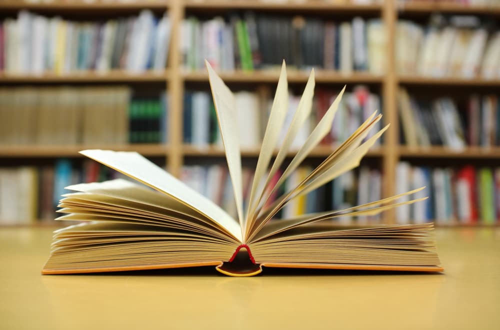 Nagrada "Meša Selimović" uručena Nenadu Šaponji za knjigu "Blizanac vremena"