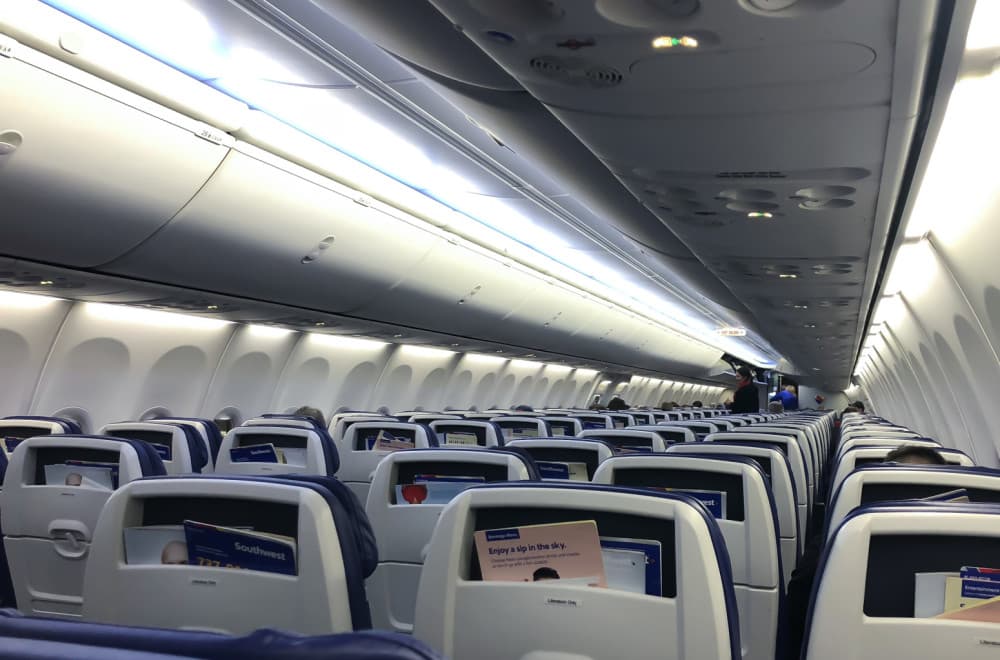 Revolucija na nebu: Aeroitalia omogućava velikim psima mesto u kabini