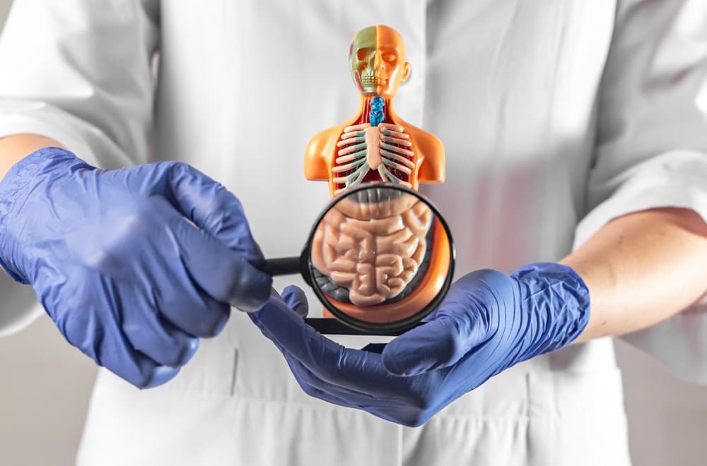 Inovativna terapija: U Srbiji oko 12.000 ljudi boluje od inflamatornih bolesti creva