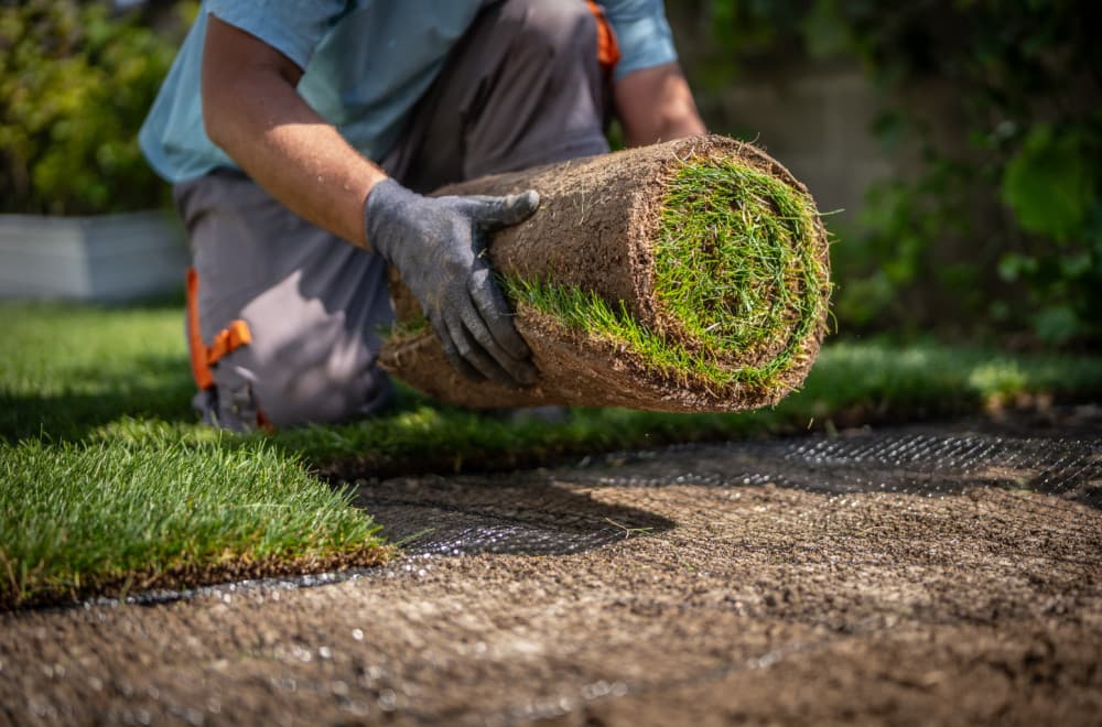 Biznis koji donosi veliku zaradu, a malo ko ga radi u Srbiji