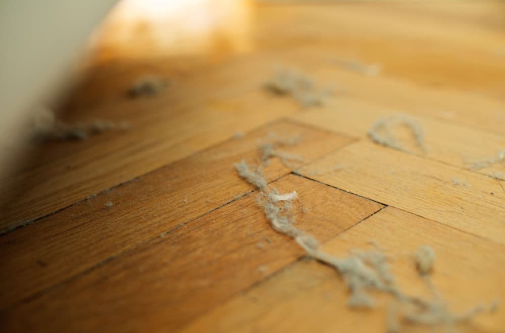Spas za alergične na prašinu: Naučnici napravili uređaj koji uklanja skoro sve iz vazduha