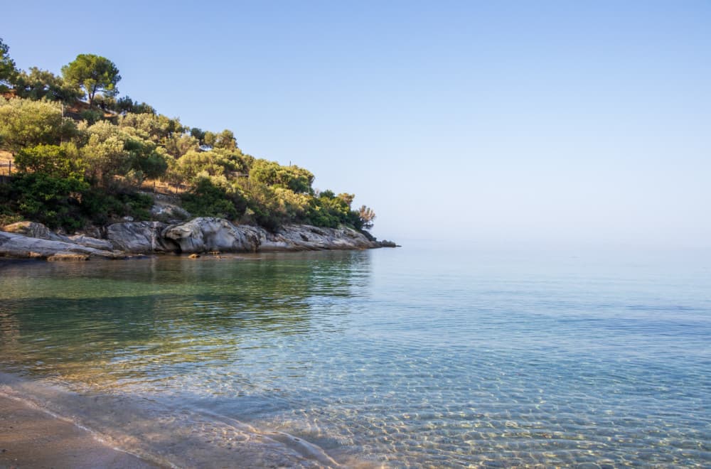 Grci obožavaju ovu plažu na Sitoniji: Raj na zemlji sa prirodnim hladom i mirisom borova FOTO
