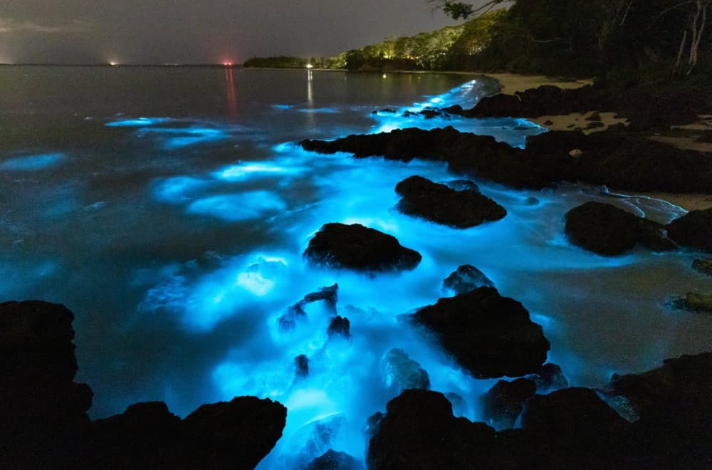 Ovo nije AI: Plaže koje svetle u mraku zaista postoje, evo gde se nalaze FOTO