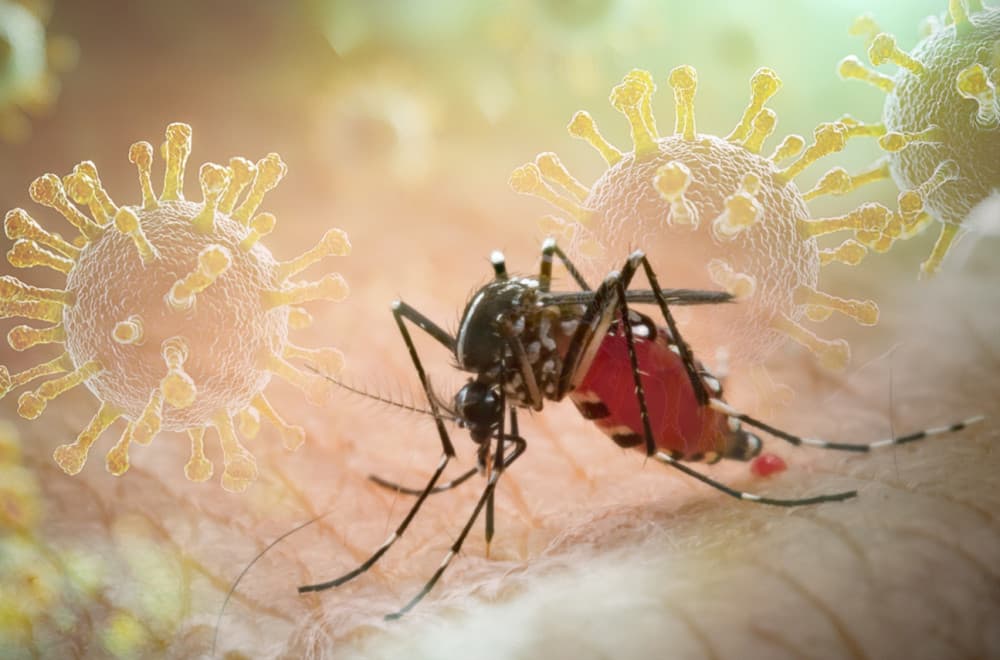 Alarmantno otkriće: Ovako se širi virus Zapadnog Nila