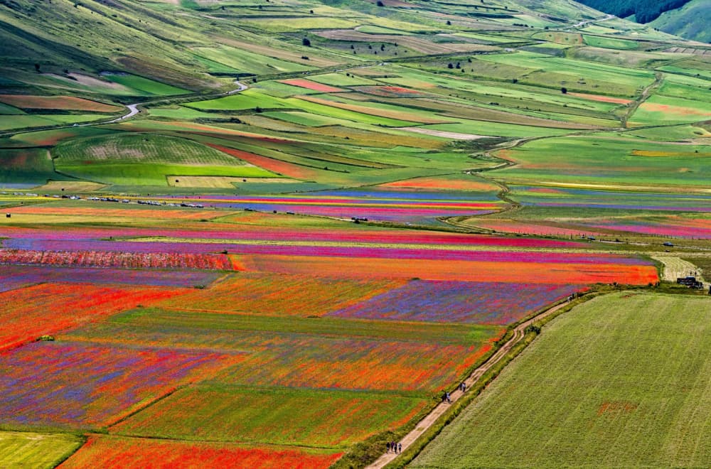 "Nova Toskana" krije se u Italiji: Ovo malo mesto izgleda kao sa razglednice FOTO