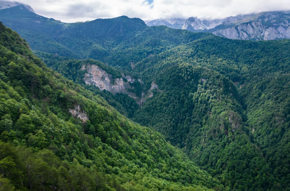 Ova šuma proglašena je za"najskrovitiju" u Evropi: Nalazi se u BiH i krije nestvaran vodopad FOTO