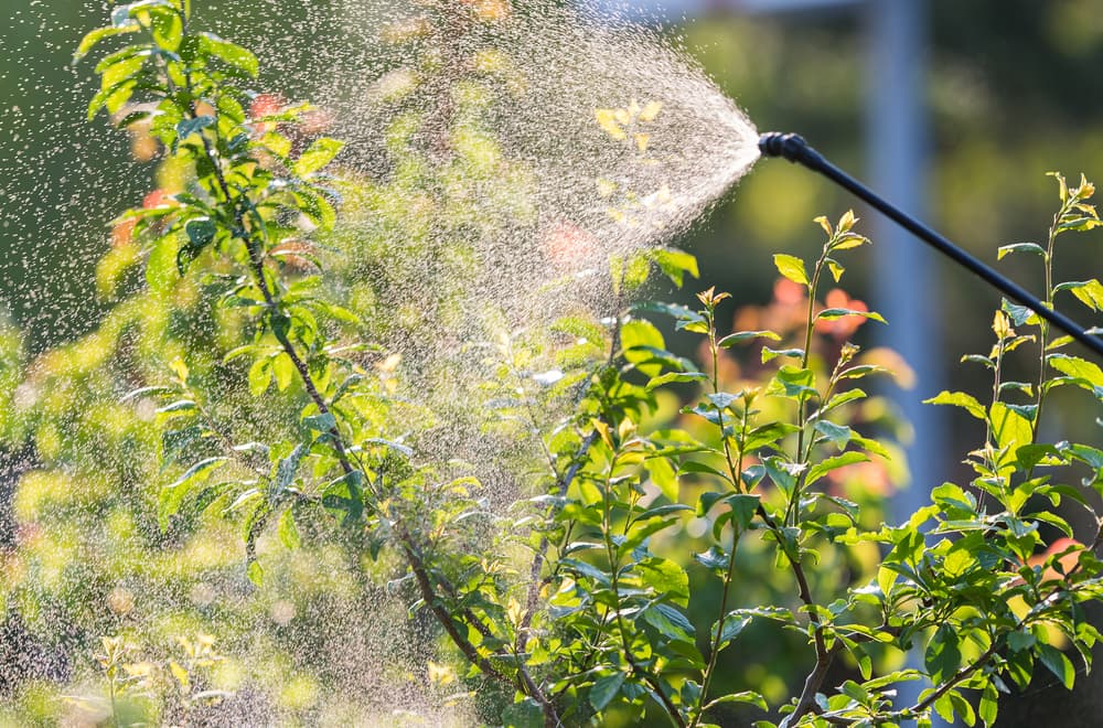 Šta koči širu primenu biopesticida u Srbiji
