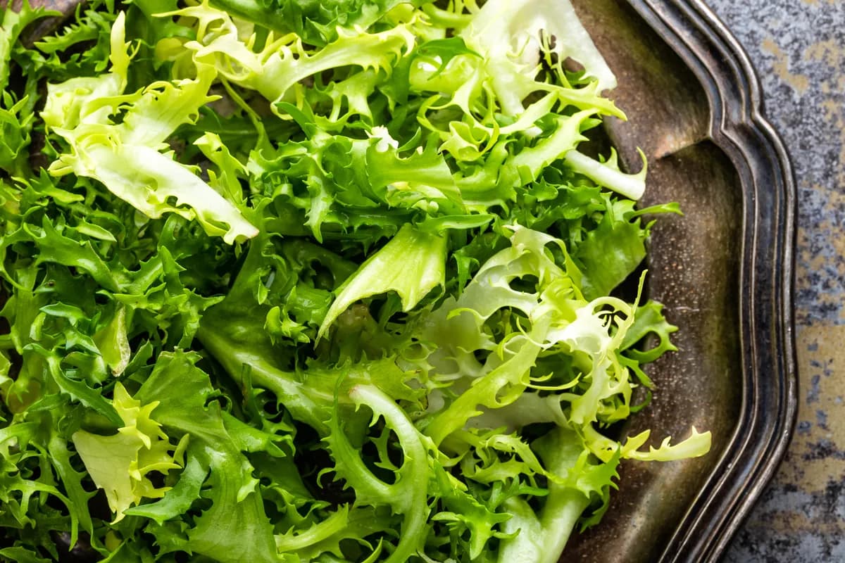 Australijanac našao živu žabu u zatvorenoj kesi zelene salate iz samousluge