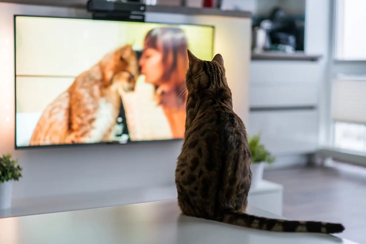 LG pojašnjava šta pametni televizor "snima" i kada