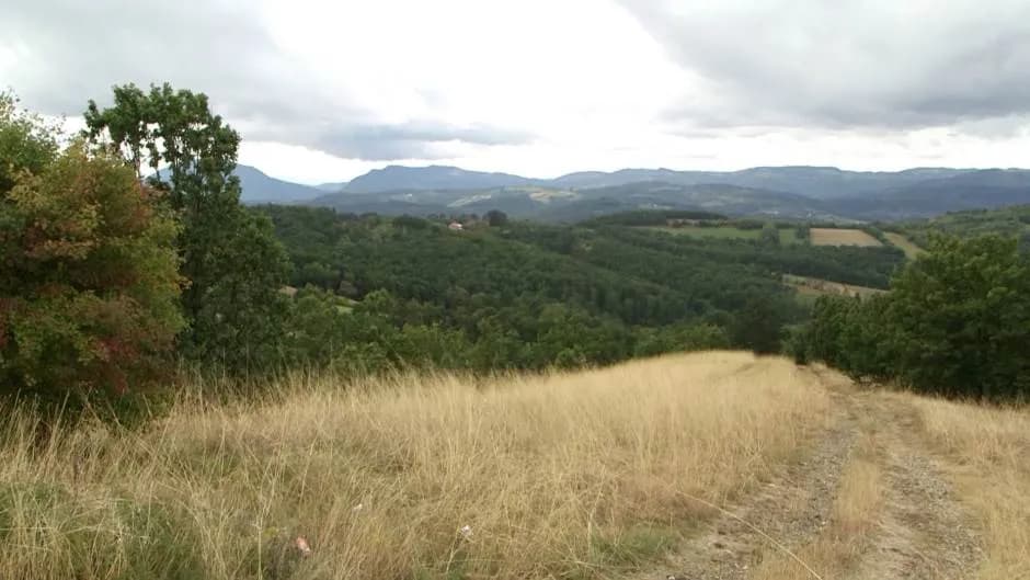 WWF: Srbija 16. maja ulazi u ekološki dug