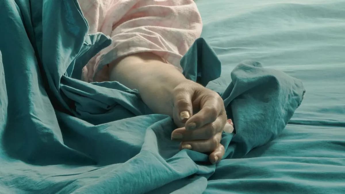 "Sabrali smo ispred Andrićeve kuće i Palestinu i Ukrajinu i Bosnu": Izdvajamo naslove iz dokumentarne selekcije Herceg Novog