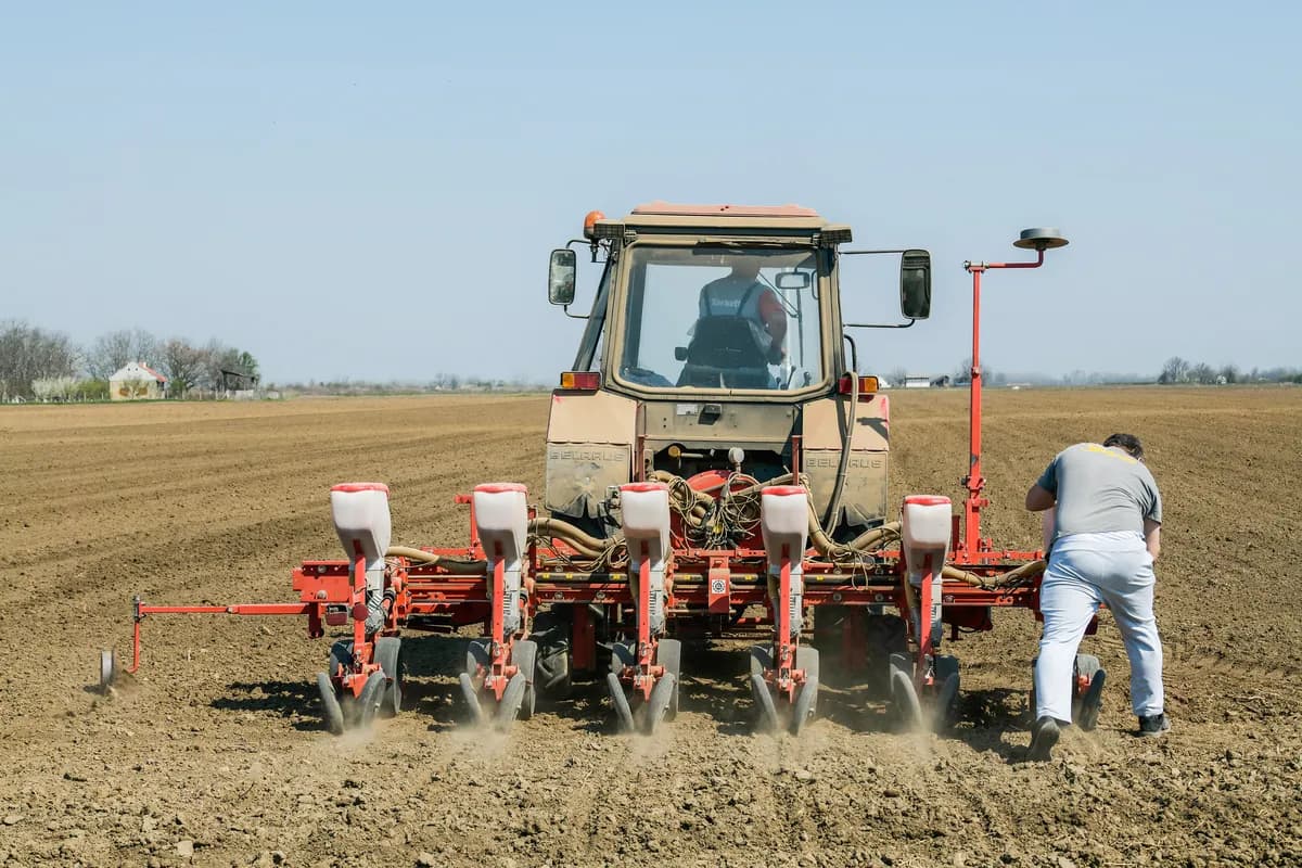 Poljoprivrednici: Suša u Srbiji smanjila rod, a otkupne cene žitarica kao pre desetak godina
