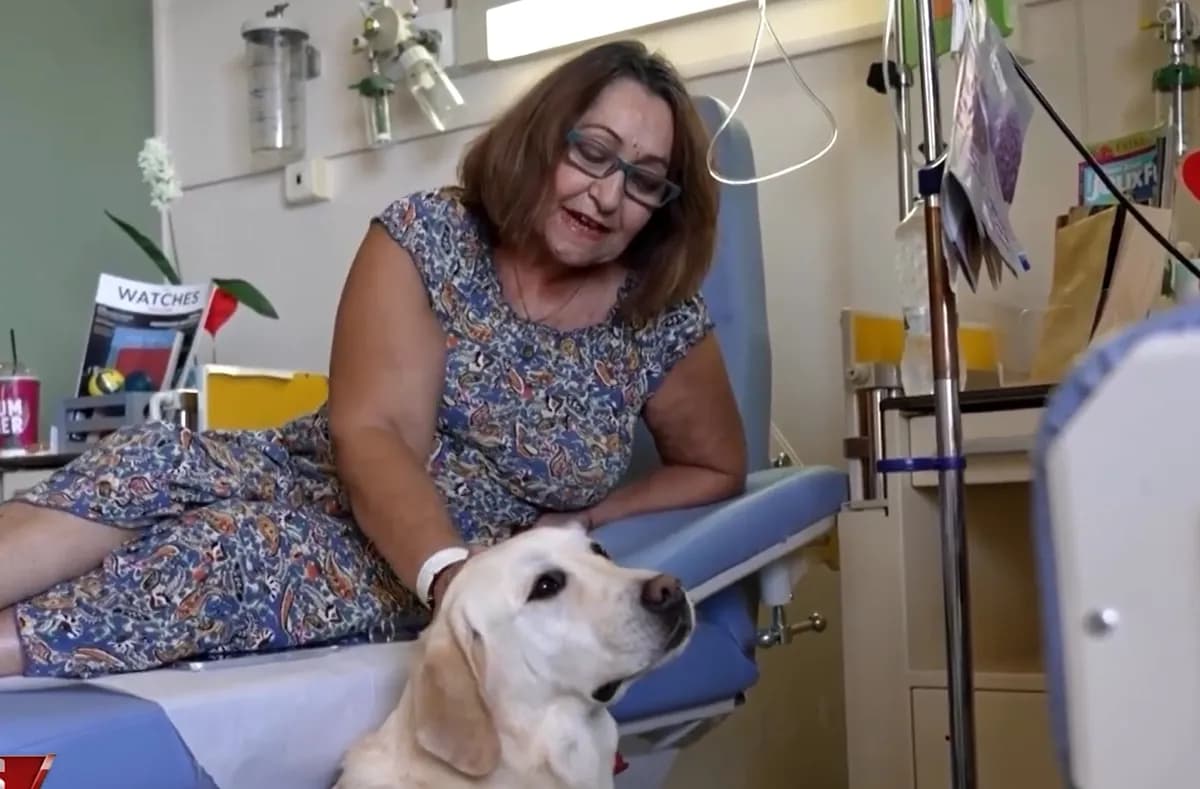 Ovaj pas radi u bolnici sa onkološkim pacijentima: Ono što se dešava tokom hemoterapije oduševilo je sve