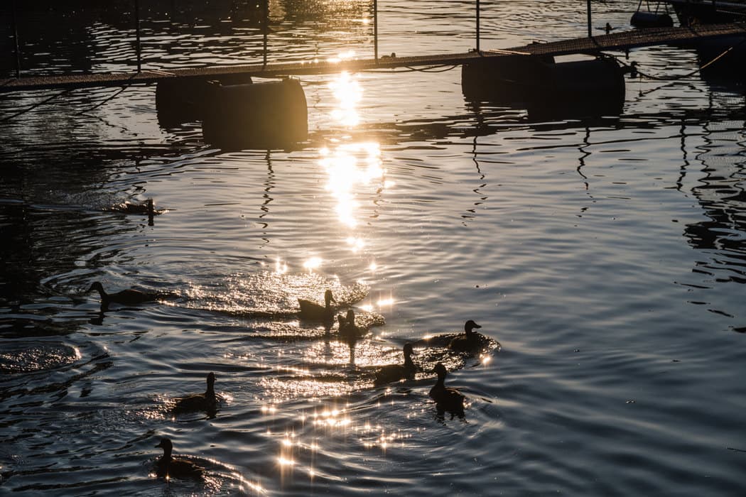 Pretežno sunčano i toplije, temperatura do 25 stepeni