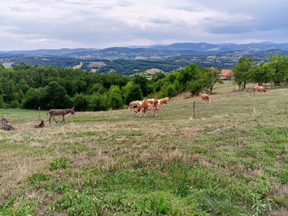 Danas sunčano i toplo, sa temperaturama do 31 stepen